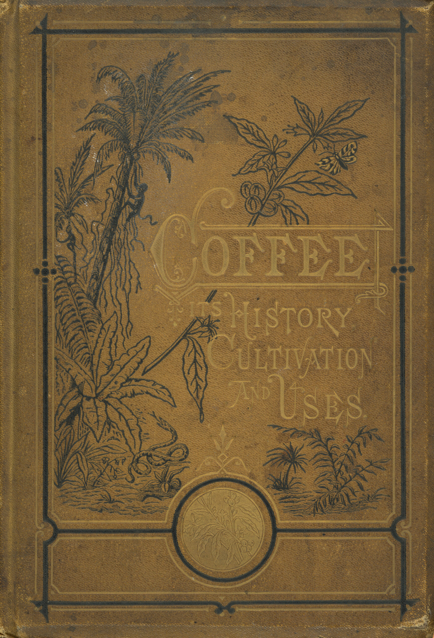 Coffee: its history, cultivation and uses