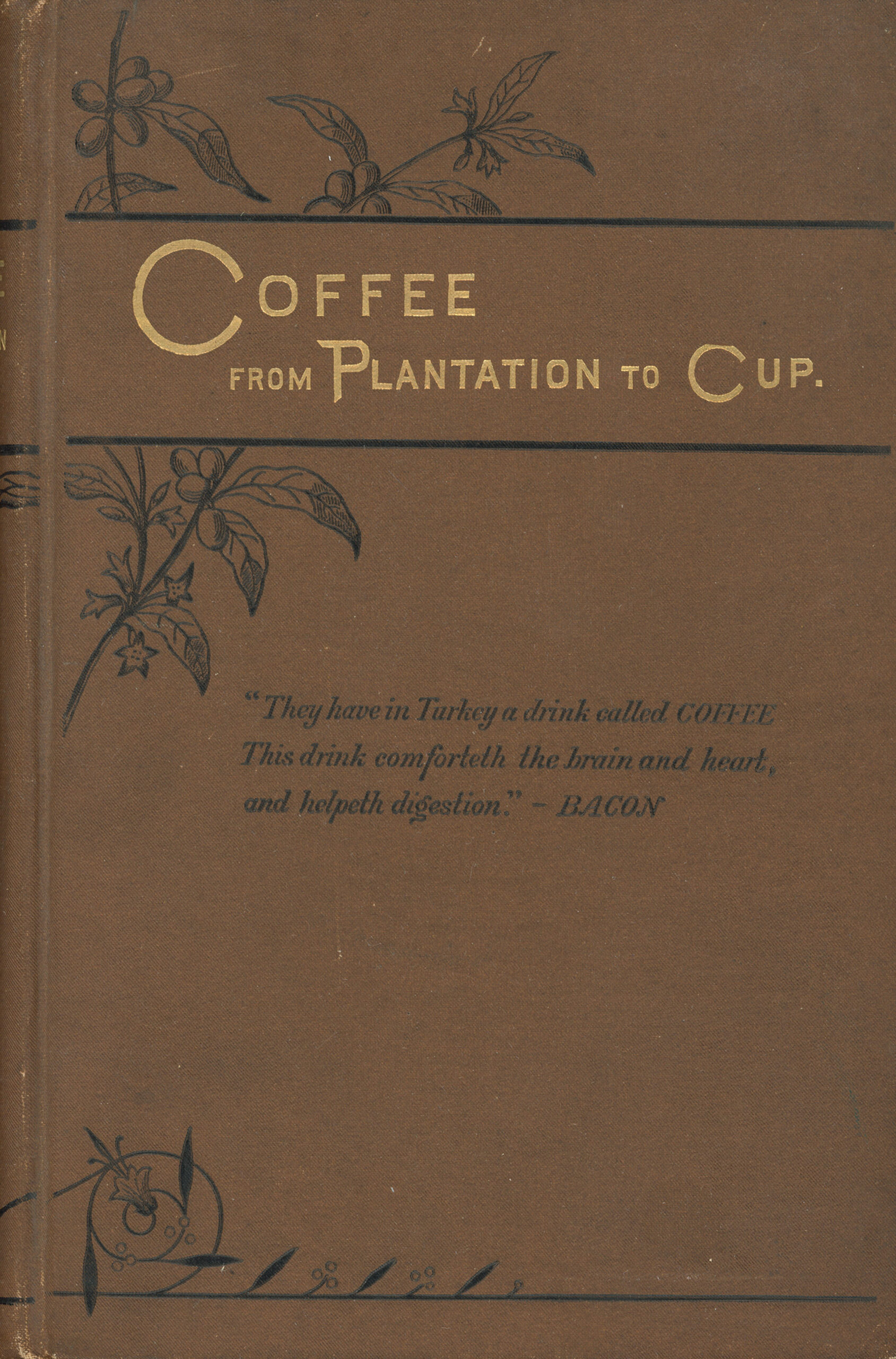 Coffee: from plantation to cup.