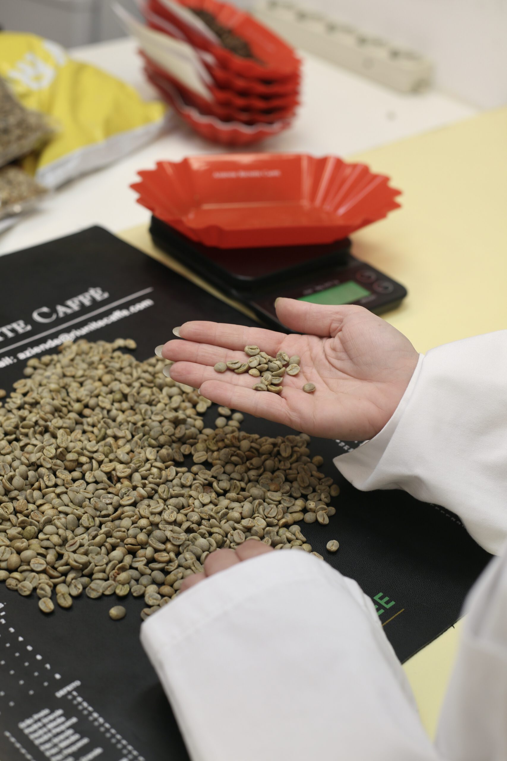 Selezione dei chicchi di caffè verde nel laboratorio ARC